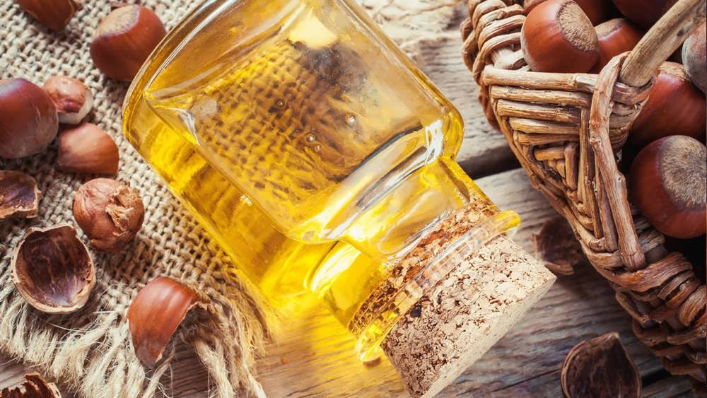 جایگاه فندق در طب سنتی